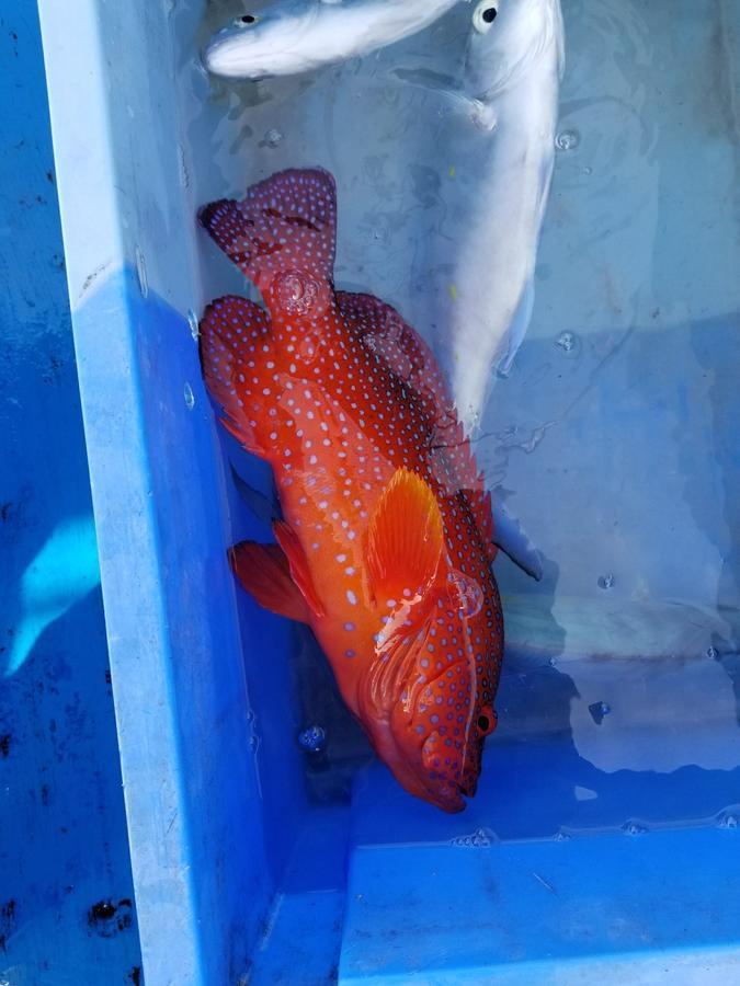 Отель Sea Blue Онна Экстерьер фото